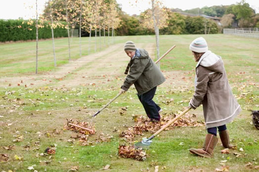Couple raking leaves. 