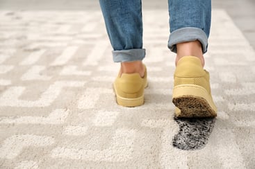 person-in-dirty-shoes-leaving-muddy-footprints-web